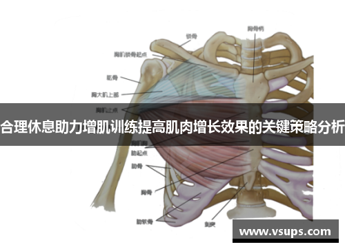 合理休息助力增肌训练提高肌肉增长效果的关键策略分析