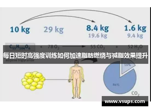 每日短时高强度训练如何加速脂肪燃烧与减脂效果提升