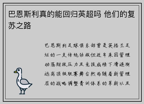 巴恩斯利真的能回归英超吗 他们的复苏之路